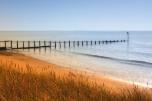 sea fishing trips dawlish warren