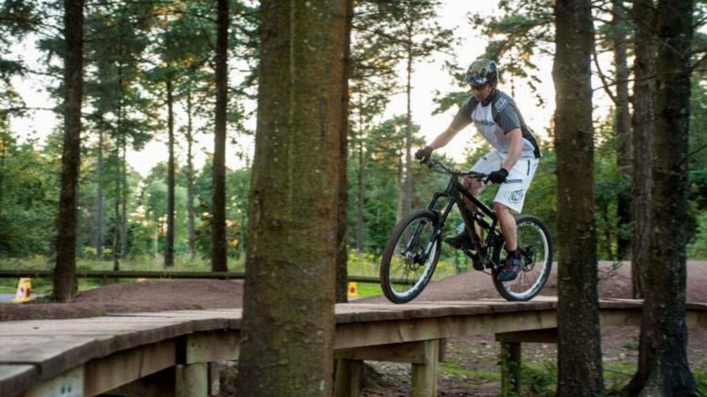 Haldon Forest Park Cycle Routes Devon-min