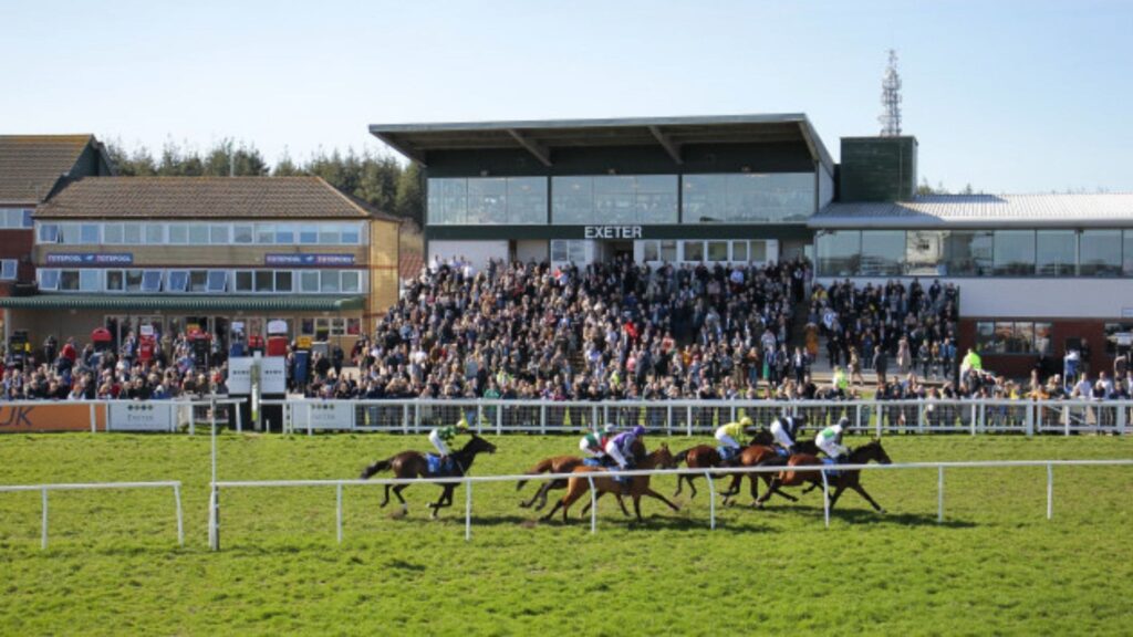 Exeter Racecourse South Devon Autumn (1)-min