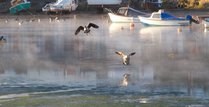PhotoTop Five Places for Bird Watching in Devon