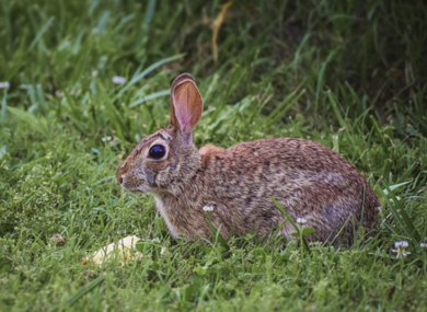 Photo Seasonal category