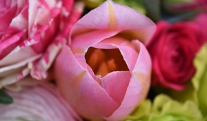 Photo category