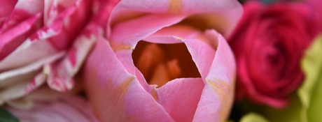 Photo category